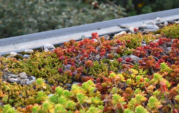 the cost of Flint Cross green roof installation