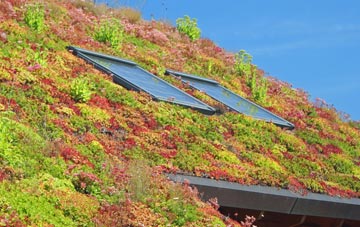 Flint Cross living roof systems