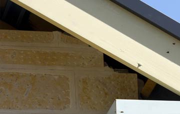 soffit repair Flint Cross