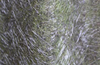 Flint Cross fibreglass roof work